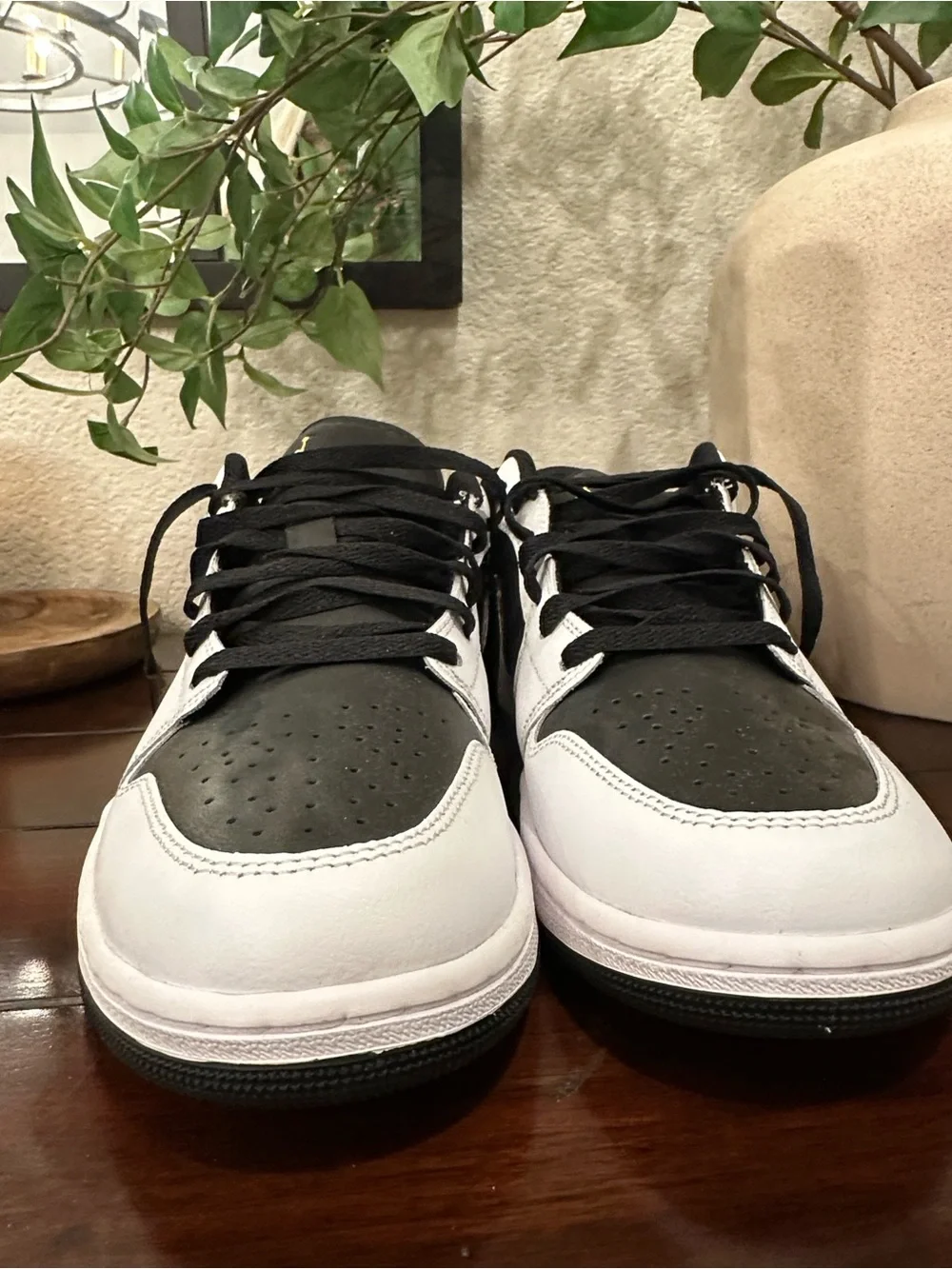 Jordan classic low